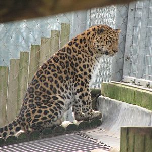 Marwell Zoo March 2007