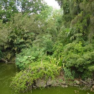 Melbourne's Orang-utan Sanctuary..