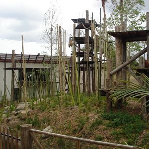 Melbourne's Orang-utan Sanctuary..