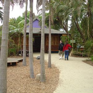 Melbourne's Orang-utan Sanctuary..