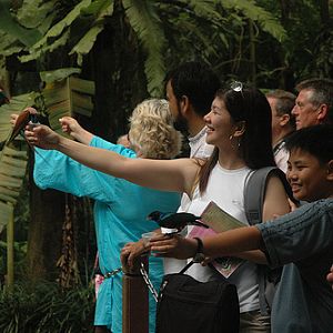 Hands-on feeding, Jurong BirdPark