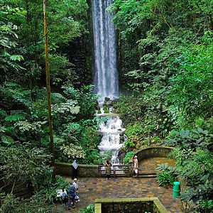 Waterfall Aviary, Jurong BirdPark