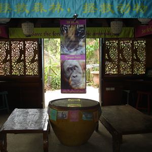 Melbourne's Orang-utan Sanctuary..