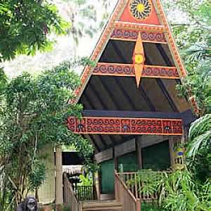 Sumatran Orang Utan exhibit, Singapore Zoo