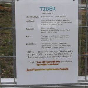 sign about the tiger