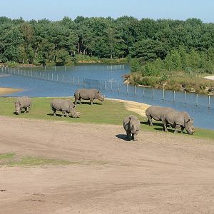 Safari Beekse Bergen