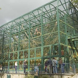 'Palace of the Apes' external cage