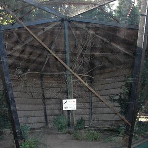 Lotherton Aviary