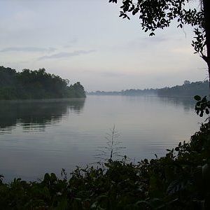 River Safari, Singapore Zoo