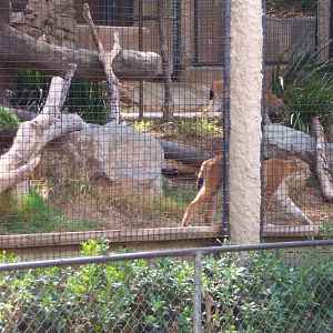San Diego zoo