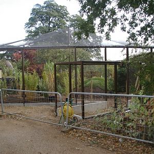 Cotswold WP Madagascar 1