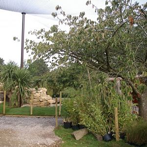 Cotswold WP Madagascar 2