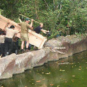 Steve Irwin and team @ Singapore Zoo 2005