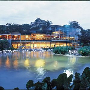 Flamingo Lake at dusk, Jurong BirdPark