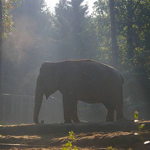 Rekka in Burgers' Zoo