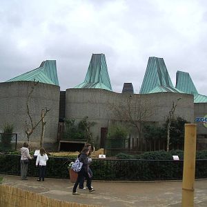 Casson Pavillion/Zoo World