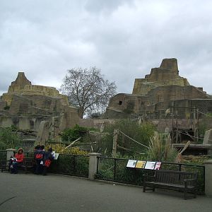 Mappin Terraces/Bear Mountain