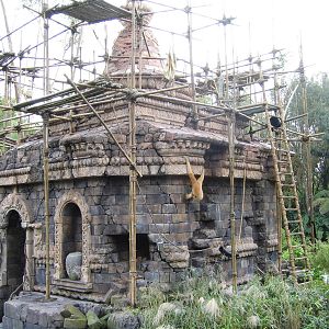 Disney's Animal Kingdom