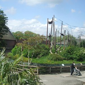 Chester's Chimp Islands, 2007