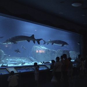 Beijing Aquarium