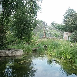 Krefeld Big Cats Exhibit