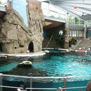 Dolphin-Exhibit in Duisburg