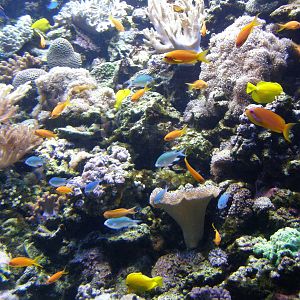 Budapest Tropiquarium