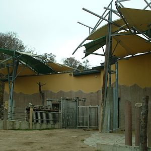 African Elephant House - Vienna 2006