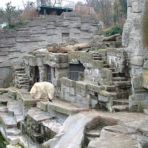 Polar Bear Enclosure - Vienna 2006