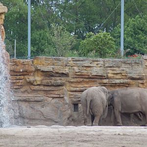 Chester's elephant exhibit