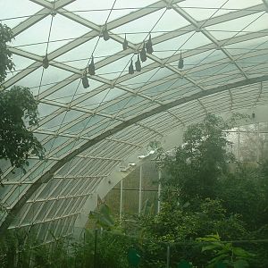 Interior Rainforest House - Vienna 2006