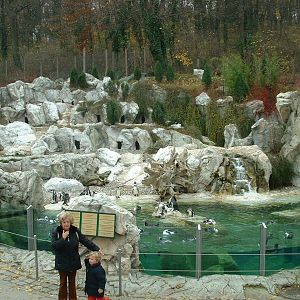 Humboldt Penguin Exhibit - Vienna 2006