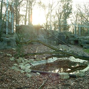 Roof of the World, Snow Leopard Enclosure - Marwell 2006