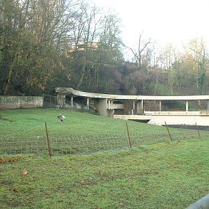 Old Bear Ravine - Dudley Zoo 2006