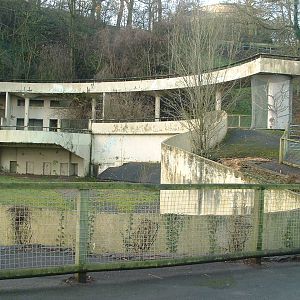 Tecton Bear Ravine Viewing Platform & Bear House - Dudley Zoo 2006