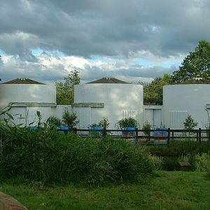 Tecton/ Lubetkin Elephant House (Disused) - Whipsnade 2007