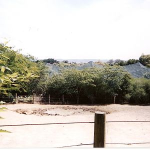 Bird Aviary at Hamilton