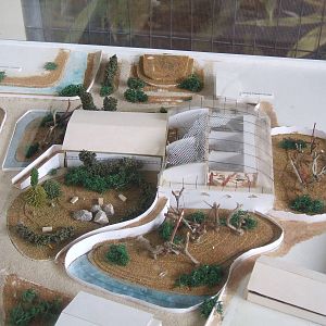 Realm of the Red Ape Model