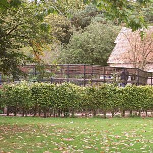 chimp enclosure at Molehall