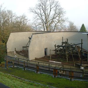 Bornean Orang Enclosures - Dudley 2006