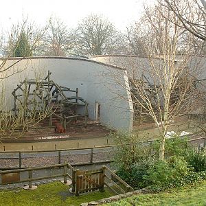 Bornean Orang Enclosures - Dudley 2006