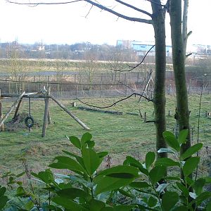 Chimp Enclosure - Dudley 2006