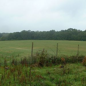 Site of new restaurant & 'African Waterhole' exhibit - Marwell 2007