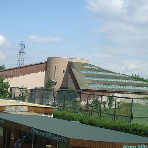 Spirit of the Jaguar