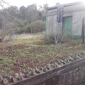 old zoo and projects 135