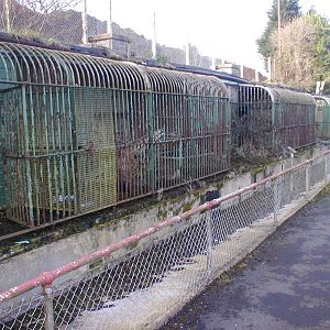 old zoo and projects 051