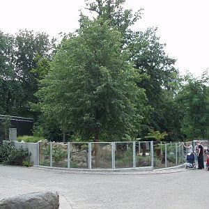 Tasmanian devil enclosure