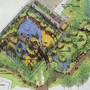 Cologne Zoo - Future Hippo House