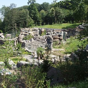 Wuppertal Zoo - Tiger Taiga