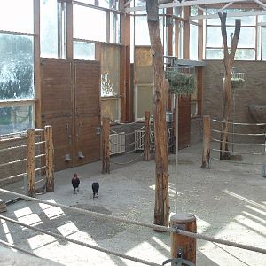 Duisburg Zoo - Giraffe stable